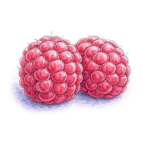 Raspberries