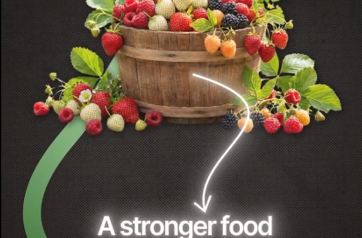 Building a Stronger Food System