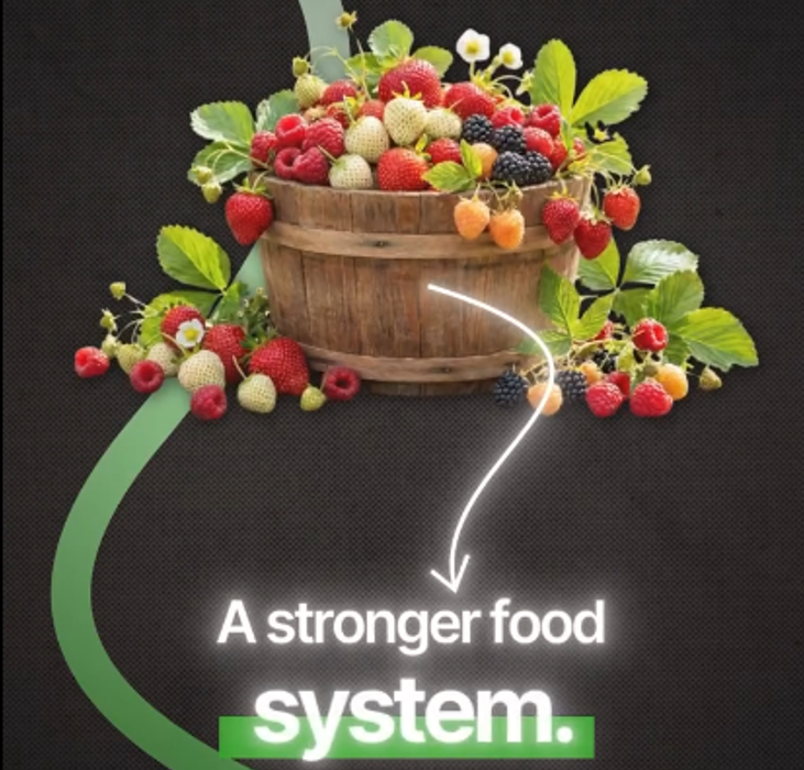 Building a Stronger Food System