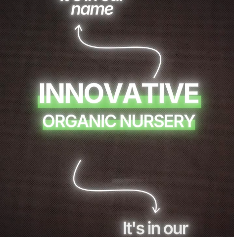 Innovation in Organic Plant Production
