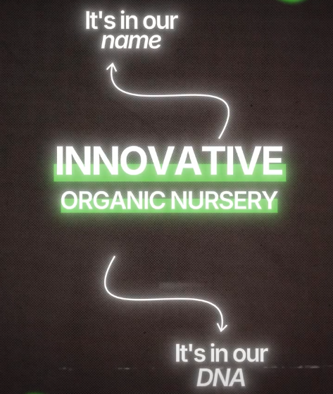 Innovation in Organic Plant Production