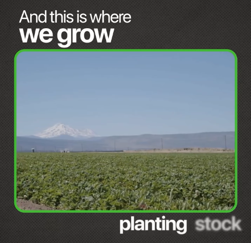 What Makes a Nursery Different Than a Farm?