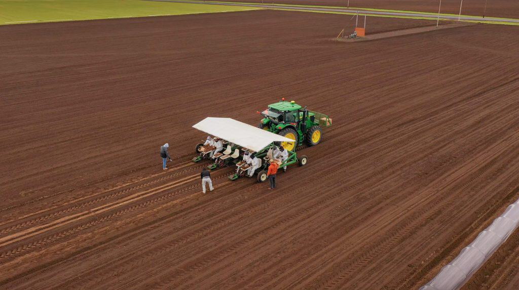 Modern organic nursery with tractor and workers in a large field.