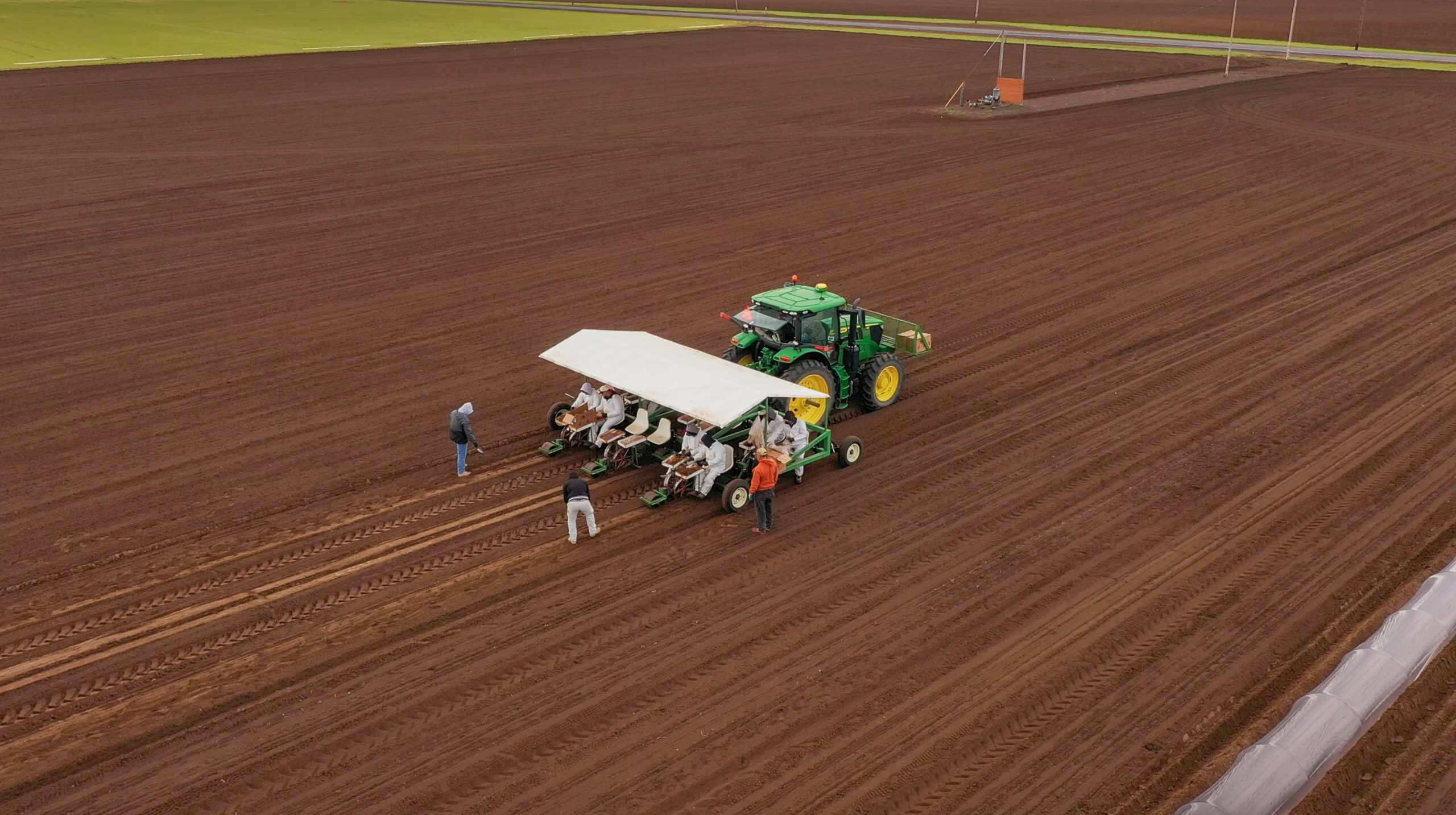 Modern organic nursery with tractor and workers in a large field.