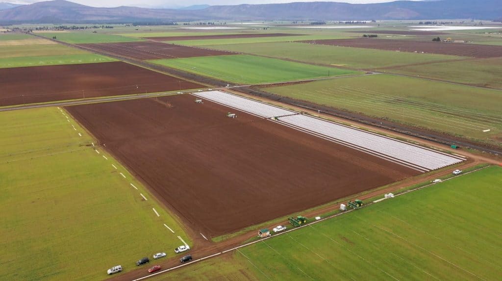 Large agricultural fields for organic nursery soil preparation and planting.