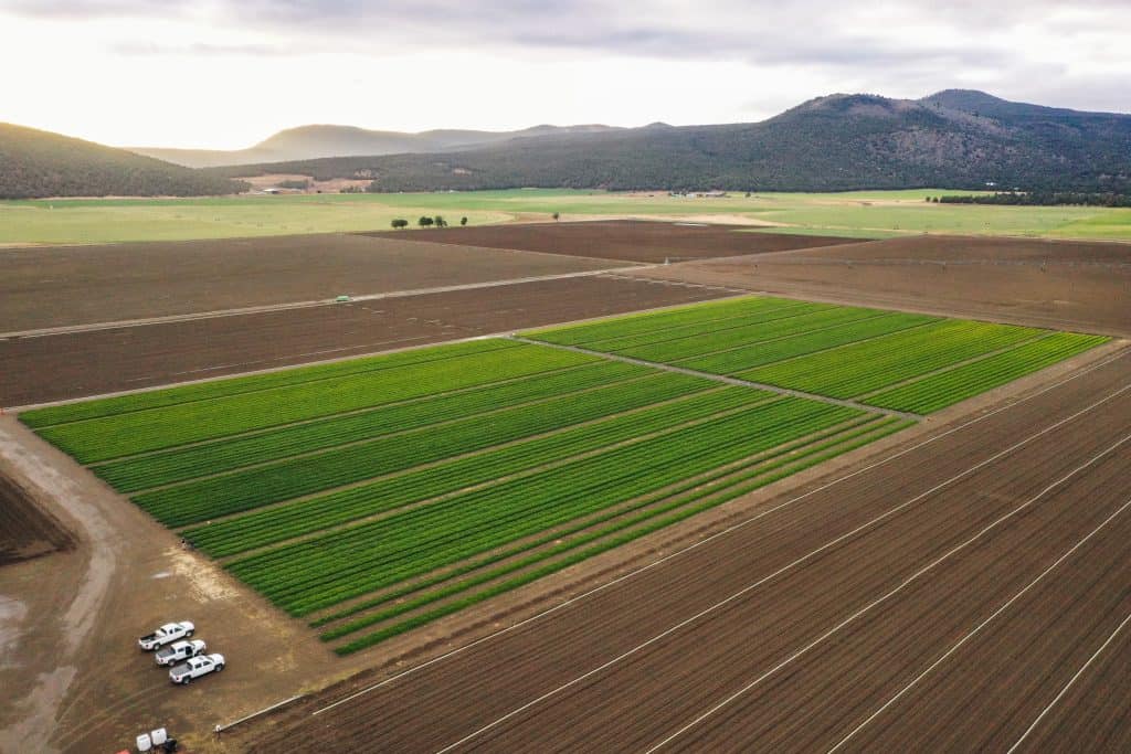 Aerial view of lush organic nursery fields with mountains in the background.
