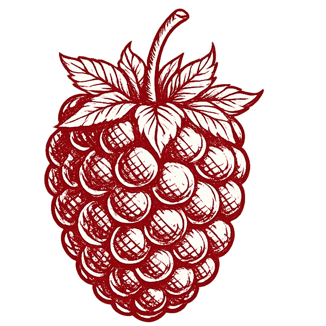 Organic raspberry illustration for sustainable nursery branding.