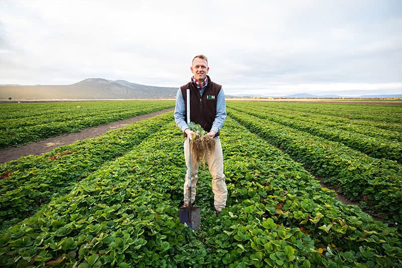 Farmer in organic nursery holding a plant in a lush green field.