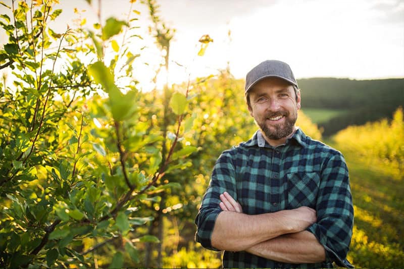 Happy farmer in organic nursery with lush green plants at sunset.